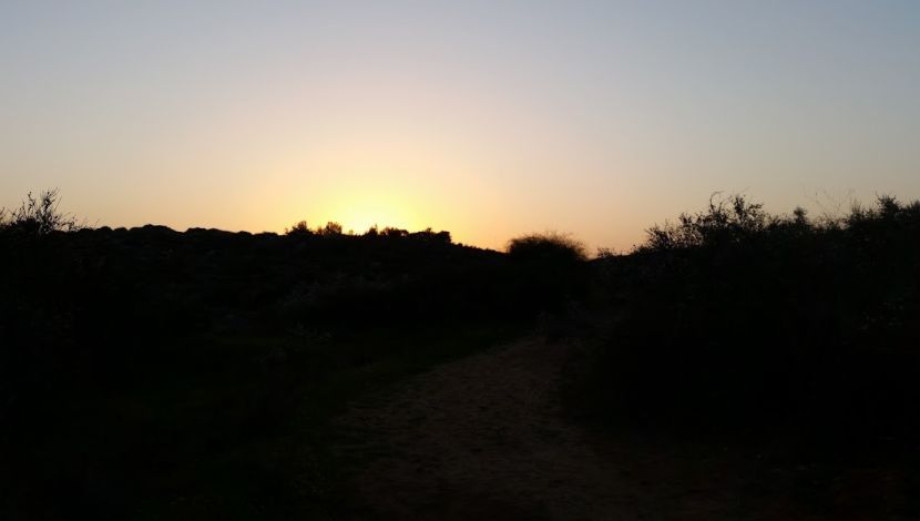 טיול עששיות מיוחד בטבע (1)