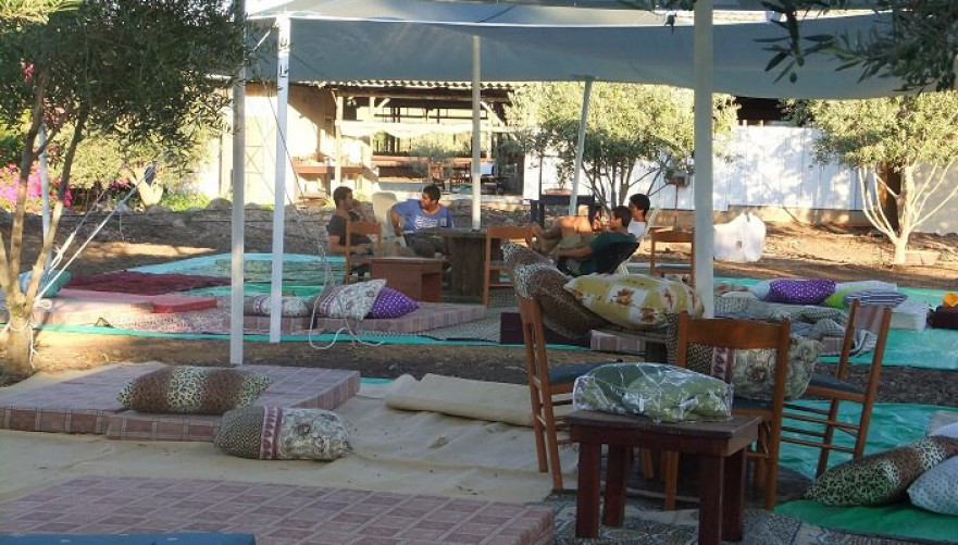 בין עצי הזיתים במתחם ליאורחאן | צילום: ליאורחאן