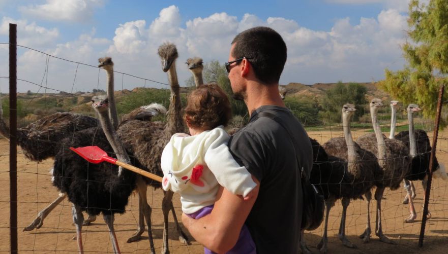 להכיר את העופות הגדולים בעולם | צילום: אל היען