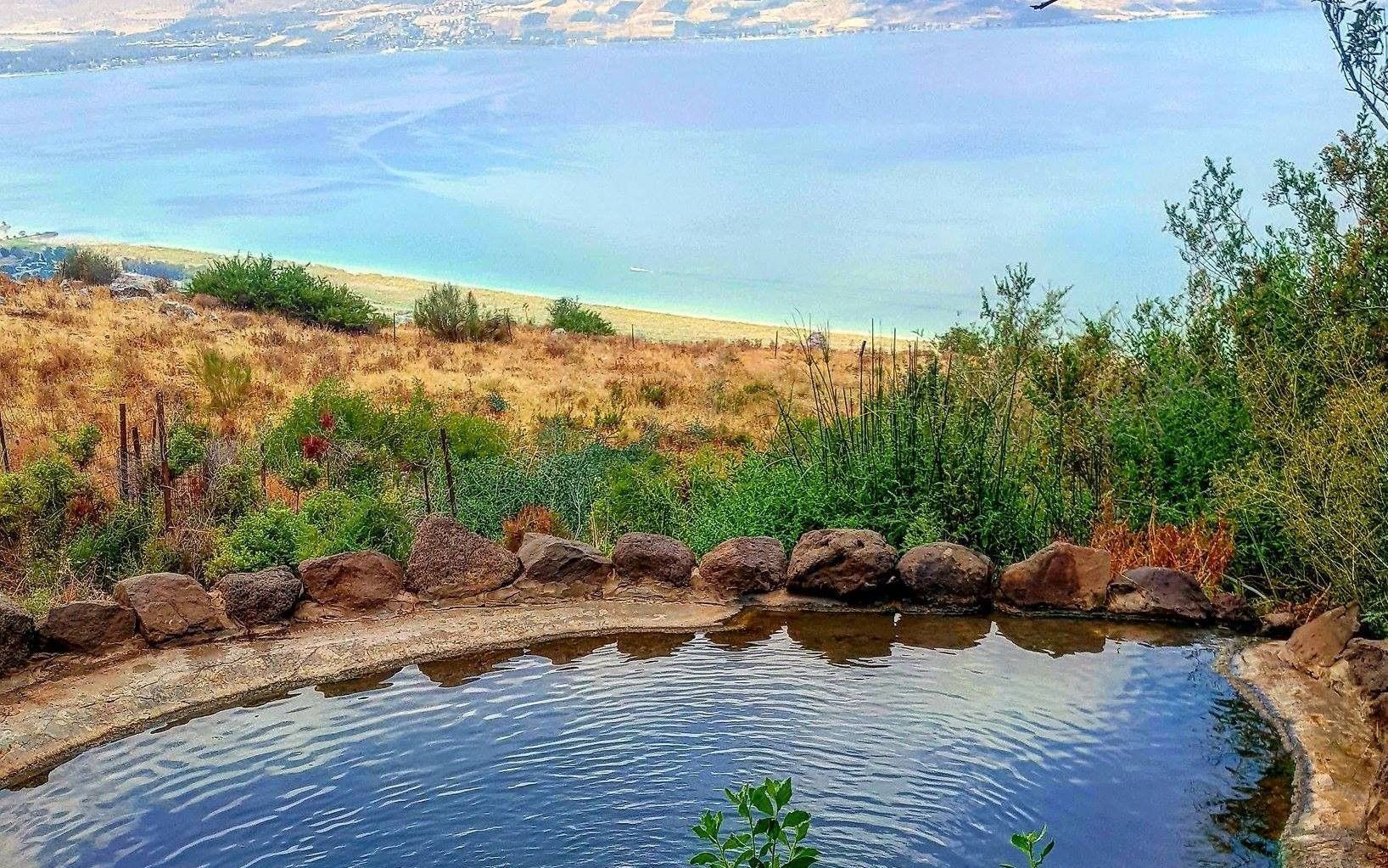 עין שוקו | צילום: רמזי חג'ג'ה