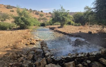 הבריכה מתחת לגשר הטרוורטין: טיילנו בנחל שהציף את הטיקטוק (3)