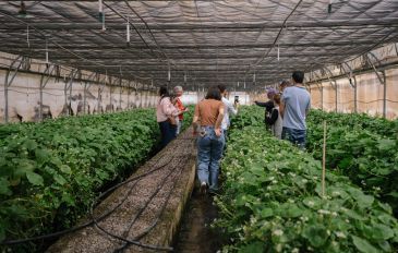 חוויה קולינרית בגולן - מהגולן לשולחן: חוויה קולינרית בצפון הארץ (2)