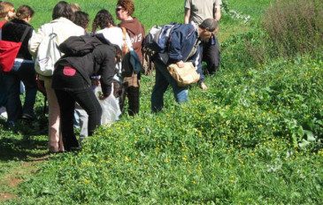 סיור מיוחד למיטיבי לקט ולכת בנחל עמוד - סיור מיוחד למיטיבי לקט ולכת בנחל גוש חלב (2)