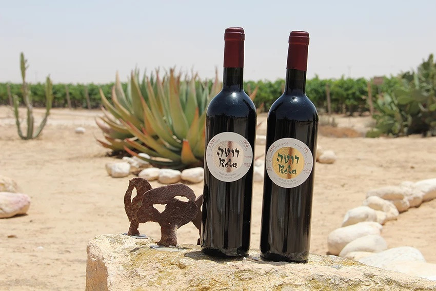 טעימות יין מדברי בחוות רוטה