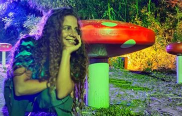 אן בפארק תופעת טבע - מה עושים בסופ