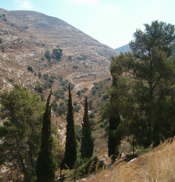 תמונה של עין כפירה ובית תול - למטייל בישראל (טיולי)