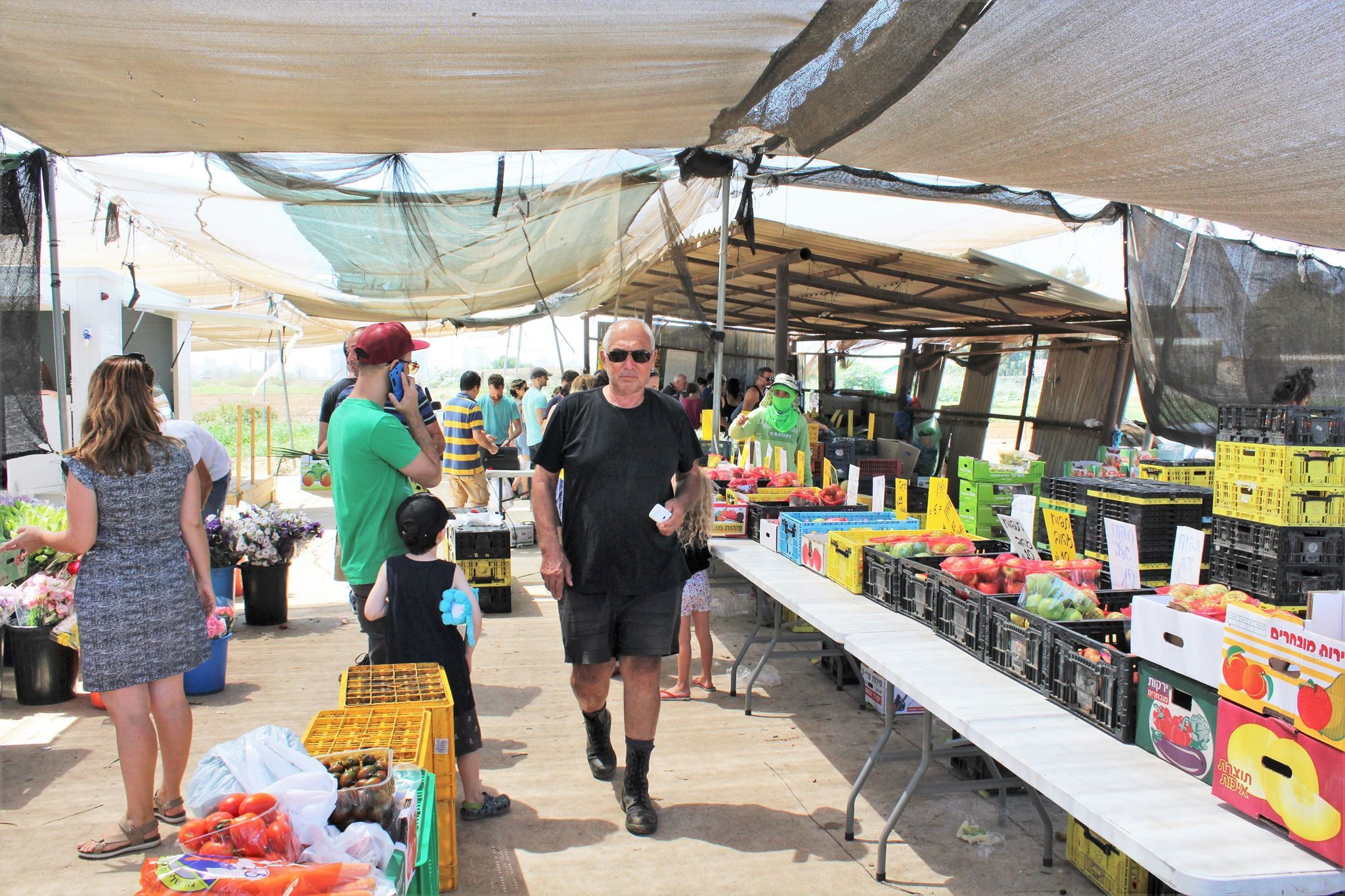 חקלאים מוכרים את התוצרת הטריה שלהם בלב רמת השרון, צילום: משק רמי קנטור