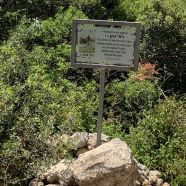 תמונה מתוך למטייל בישראל (טיולי)
