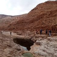 תמונה מתוך למטייל בישראל (טיולי)