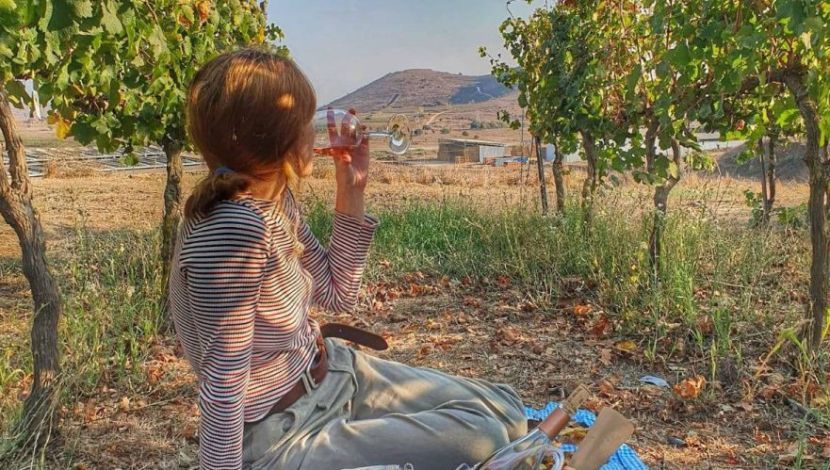 יין של שבת: 10 יקבים שפתוחים גם בשבת (1)