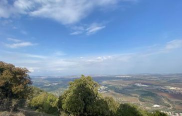 יום כיף באזור התבור: נופים קסומים, אמנות והיסטוריה מרתקת (2)