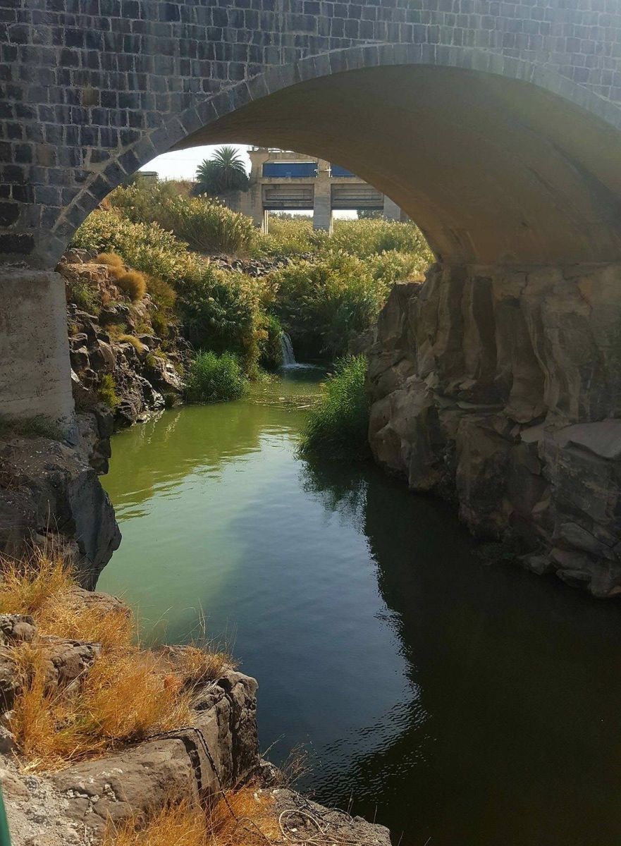 נהר הירדן בסמוך לנהריים | צילום: ראמזי חג'אג'רה