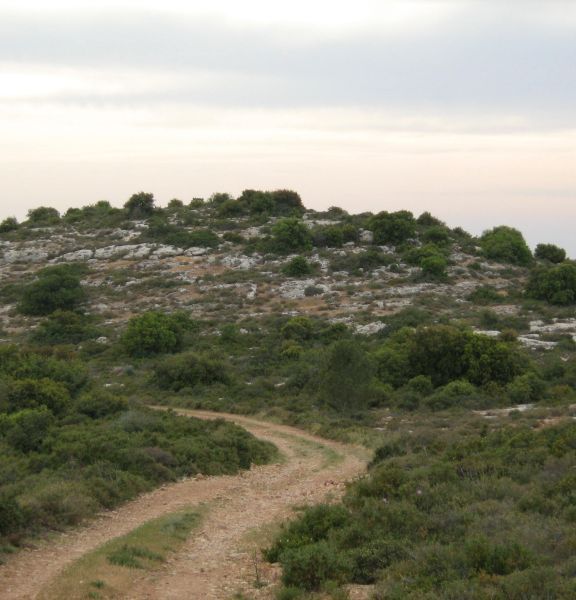 תמונה של שמורת סנסן - למטייל בישראל (טיולי)
