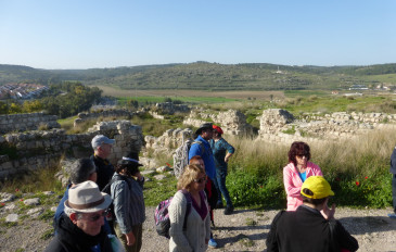 טיול לגבעת התורמוסים  בעמק האלה - פריטור גיבורים ותורמוסים בעמק האלה (2)