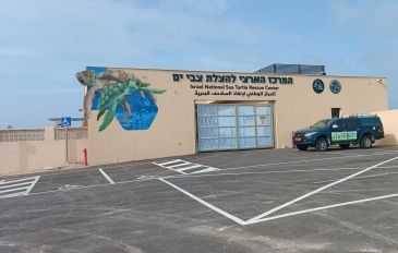 המרכז הארצי להצלת צבי ים - מרכז ההצלה הארצי לצבי ים (2)