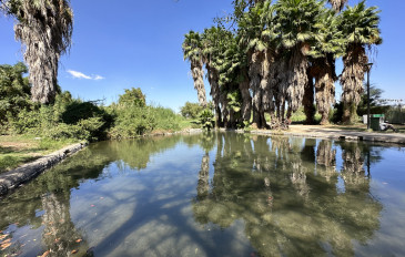 מבשלות לכם הפתעה: מסלולים ומתכונים קלילים של בלוגריות הטיולים (3)
