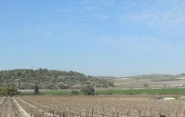 מטוסקנה עד פרוואנס  כבר אמרנו שזה כאן?! - מטוסקנה עד פרוואנס ויא 