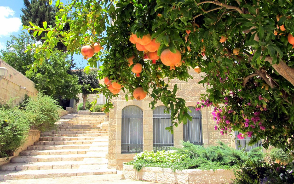 תמונה מתוך תוכן באתר למטייל בישראל (טיולי)
