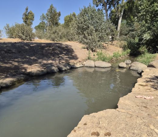 תמונה של בריכת גדעונה - נחל חרוד - למטייל בישראל (טיולי)