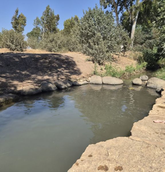 תמונה של בריכת גדעונה - נחל חרוד - למטייל בישראל (טיולי)