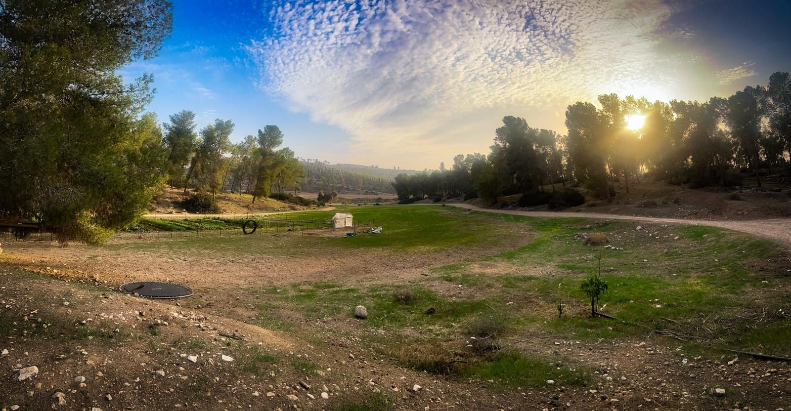 חוות שקף | צילום: איתמר צרפתי