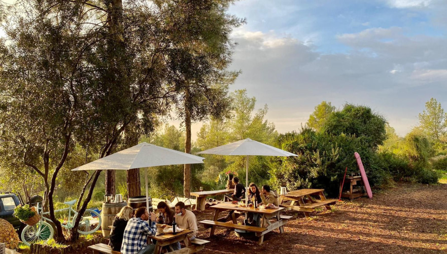 על רקע הרי יהודה | צילום: יקב שריגים