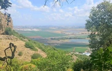 נחל יגור (3)