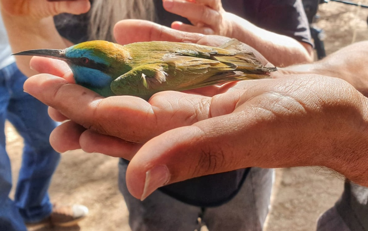 מבט מקרוב על אחת מדיירות הפארק. צילום: איתמר ברק