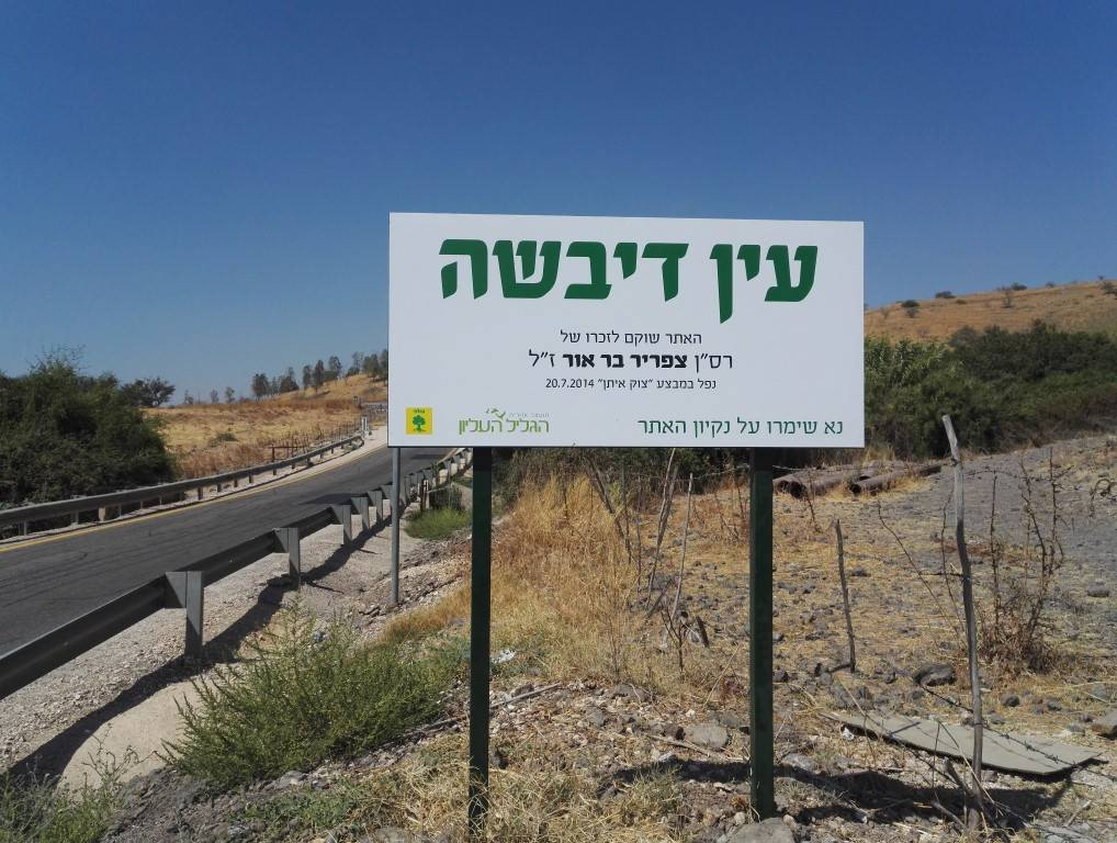 עין דיבשה. צילום: אינה מנשה