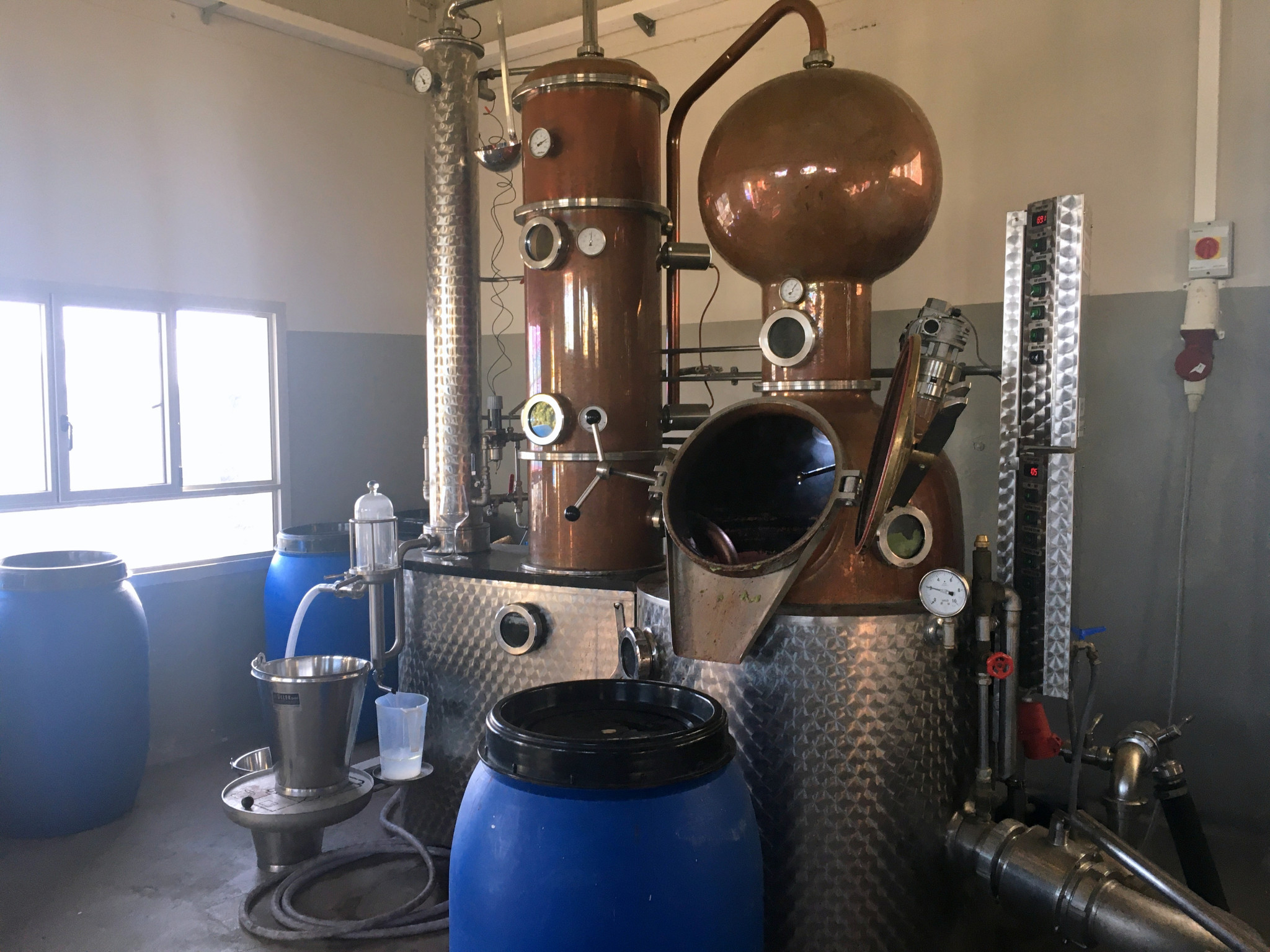 ככה מזקקים ביוליוס פירות, דבש וצמחים מקומיים | צילום: שיר בהר