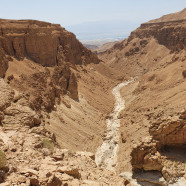 תחילת הירידה לנחל אשלים