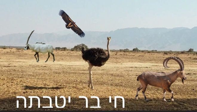 תמונה מתוך למטייל בישראל (טיולי)
