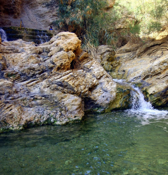 תמונה של יום כיף באזור ערד: מפל גועש ועולם שכולו פנטזיה בלב מדבר - למטייל בישראל (טיולי)