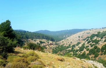 בדרכי ההר (2)