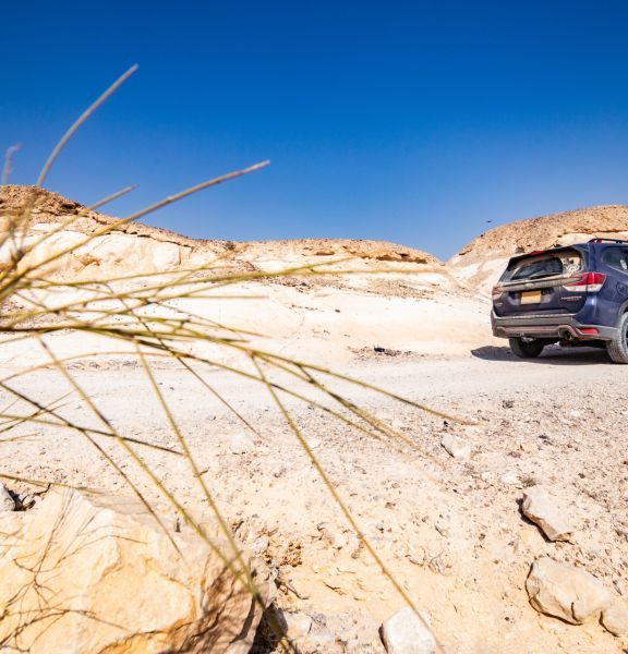 תמונה של שביל ישראל 4X4 - מקטע 10: מתל ערד לחניון לילה לוט - למטייל בישראל (טיולי)