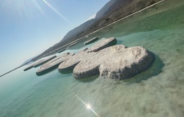 חוגגים סוכות במרכז המבקרים ים המלח (3)
