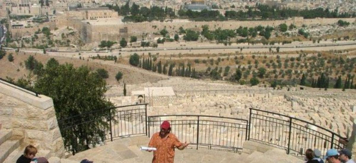 תצפית על ירושלים מהר הזיתים - תצפית רחבעם זאבי - מבט מרהיב על העיר העתיקה (1)