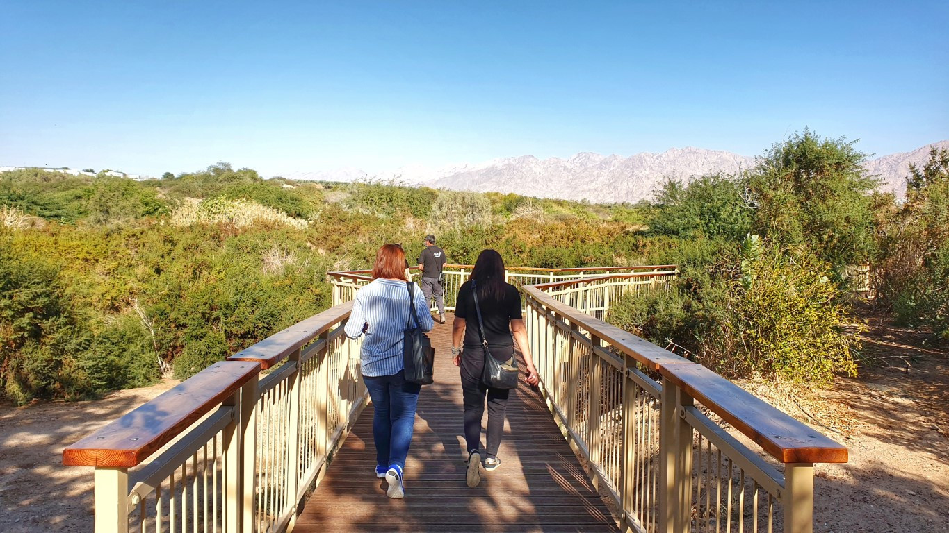 סיור בפארק הצפרות באילת. צילום: איתמר ברק