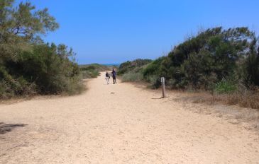 טיול בגן לאומי חוף השרון - פריטור בגן לאומי חוף השרון (3)