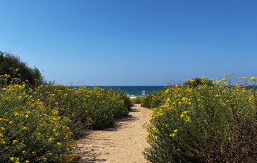חוף פלמחים (3)
