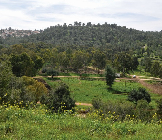 תמונה של יום כיף באזור מזרח השרון: נופים מושלמים ותוכים צבעוניים ממש ליד הבית - למטייל בישראל (טיולי)