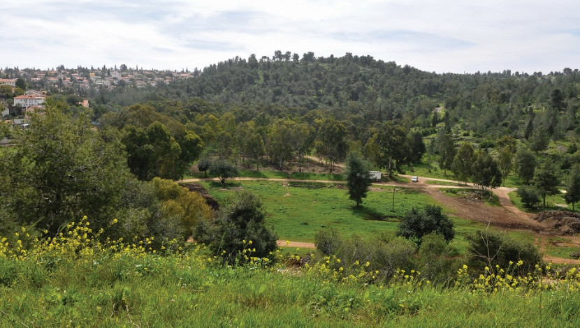 חורשים - יום כיף באזור מזרח השרון: נופים מושלמים ותוכים צבעוניים ממש ליד הבית (1)