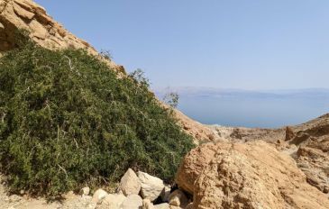 נחל סלוודורה: מסלול משפחות קצר ואתגרי (3)