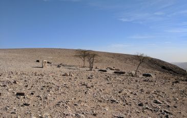 בין מדבר להר: טיולים, לינה וחוויות מסביב לעיר ערד (2)