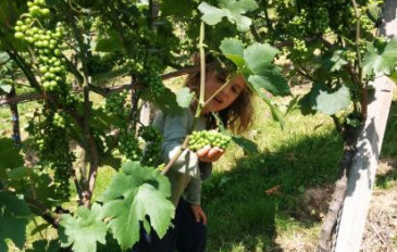 חגי תשרי בכרמל: שלל פעילויות בין הר ירוק לים כחול (3)