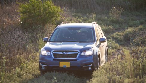 תמונה של טיול 4X4 בתל גזר - למטייל בישראל (טיולי)