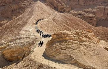 מתוך טיול עם ינשוף שדות חוויה אחרת (2)
