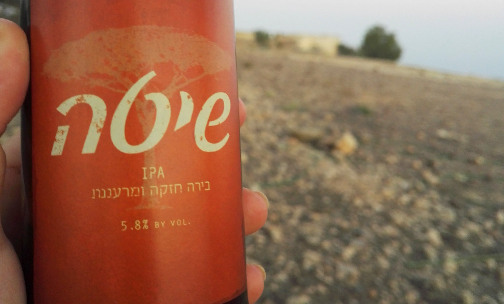והכי כיף לשתות אותה במדבר | צילום: אינה מנשה