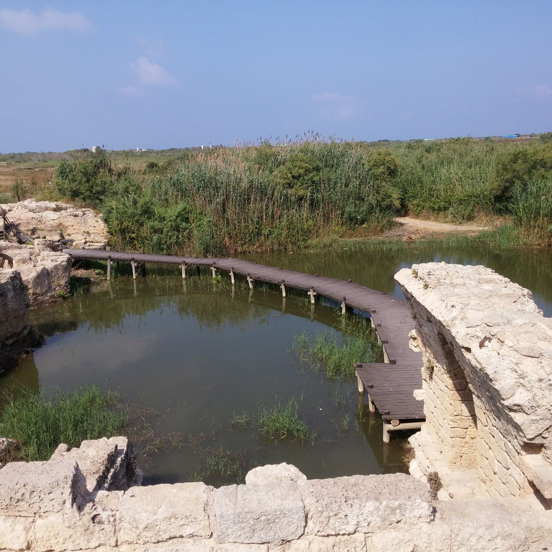 נחל תנינים | צילום: שמעון זיגמנד