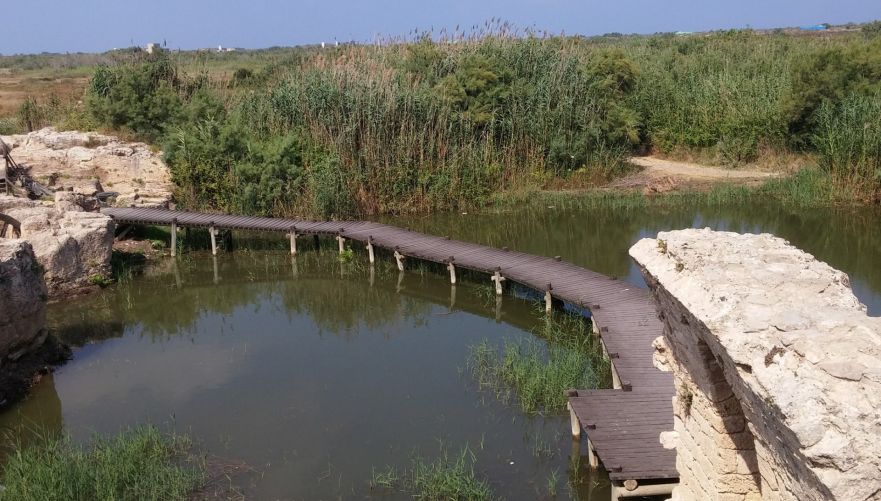 נחל תנינים | צילום: שמעון זיגמנד